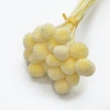 Bola de oro natural flores secas y plantas bouquet combinaciones accesorios de tiro decoración de sala de estar arreglos florales para el hogar material de bricolaje variedad de colores período de colocación largo en stock details Picture